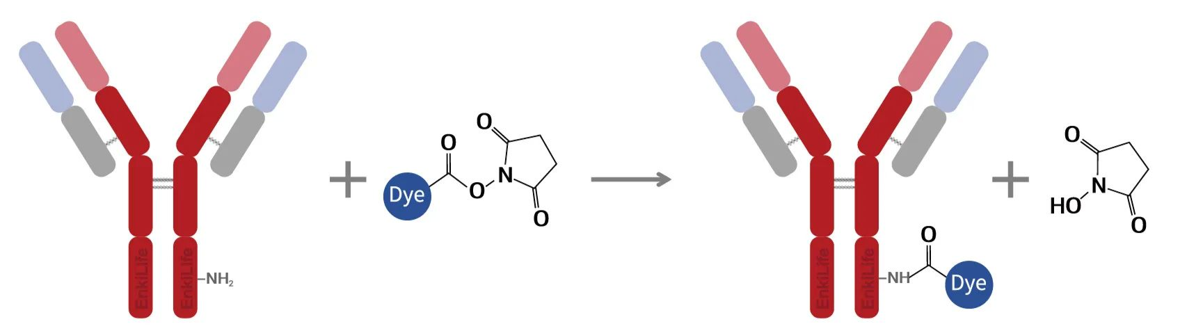 Labeling Principle Diagram